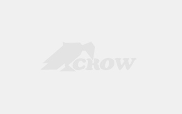 TCP/IP зв'язок у датчиках Crow
